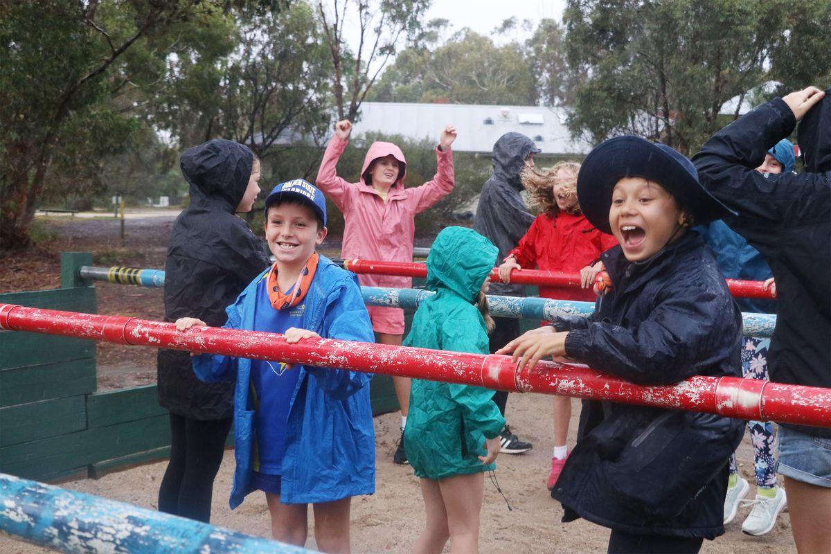 Allergy 250K kids camps